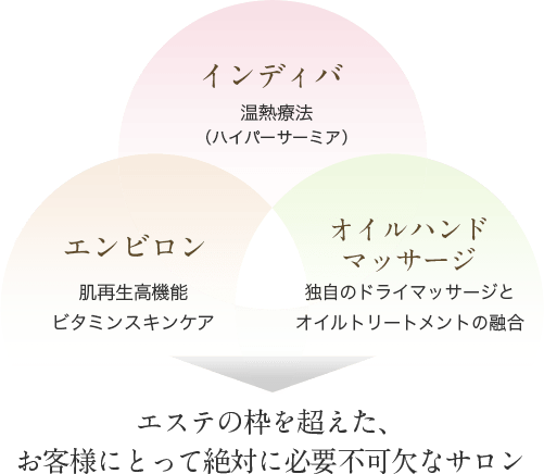 インディバ(温熱療法/ハイパーサーミア)、エンビロン（肌再生高機能、ビタミンスキンケア）、オイルハンドマッサージ（独自のドライマッサージとオイルトリートメントの融合）を専門にお一人おひとりのお悩みや希望に合わせたコースをご提案いたします。